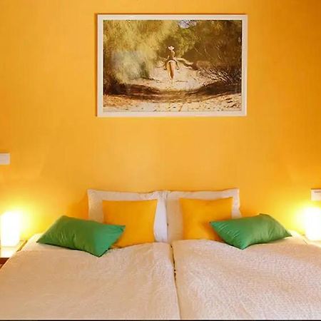 Finca Verde De La Luz Барбате Экстерьер фото